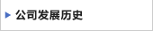 公司发展历史